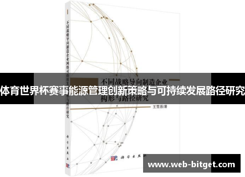 体育世界杯赛事能源管理创新策略与可持续发展路径研究