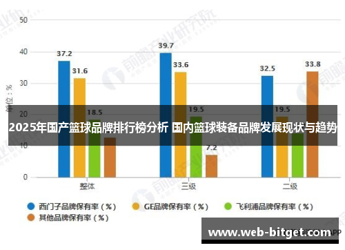 2025年国产篮球品牌排行榜分析 国内篮球装备品牌发展现状与趋势